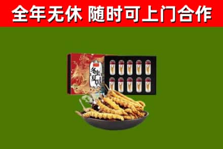 正安回收冬虫夏草价格